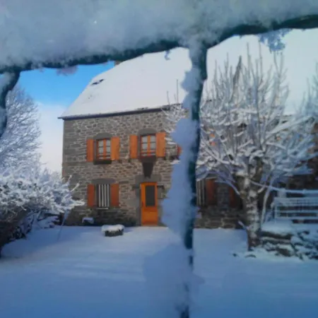 Maison De Caractere Renovee Avec Jardin Ferme, Entre Montagnes Et Gorges, Proche Saint-flour - Fr-1-742-51 Cussac (Cantal)