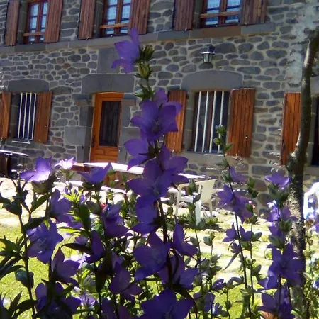 Maison De Caractere Renovee Avec Jardin Ferme, Entre Montagnes Et Gorges, Proche Saint-flour - Fr-1-742-51