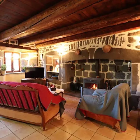 Maison De Caractere Renovee Avec Jardin Ferme, Entre Montagnes Et Gorges, Proche Saint-flour - Fr-1-742-51 Holiday home Cussac (Cantal)